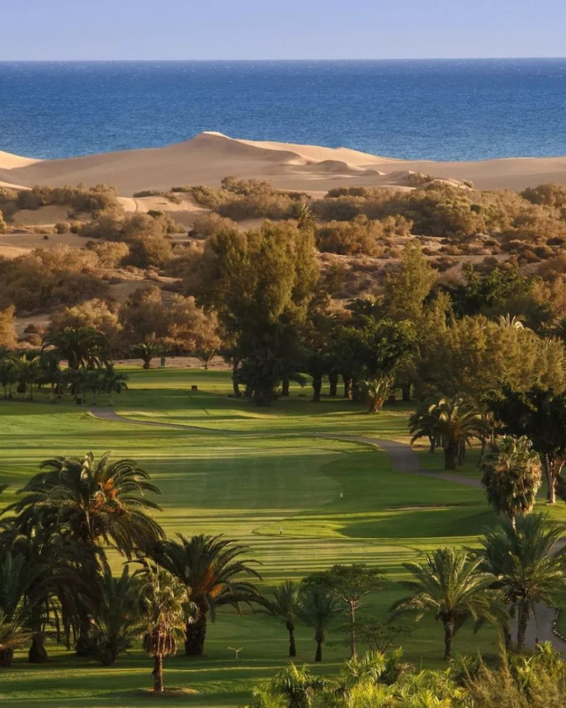Hoe werkt de pendeldienst van Artika Natura naar Playa del Inglés Gran Canaria?